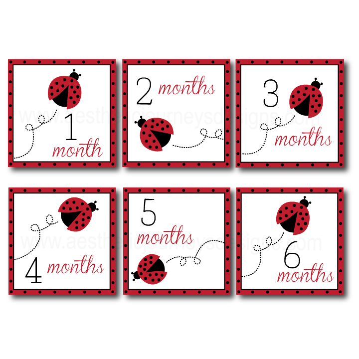 Love Bug Monthly Photo Banner